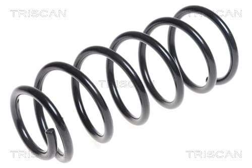 Spiralfjäder bak från TRISCAN