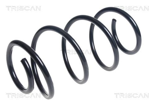 Spiralfjäder fram från TRISCAN