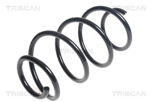 Spiralfjäder fram från TRISCAN