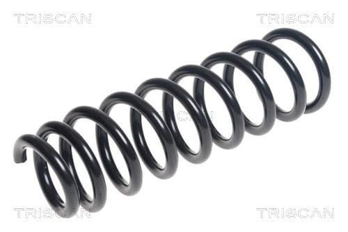 Spiralfjäder bak från TRISCAN