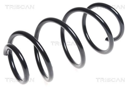 Spiralfjäder fram från TRISCAN