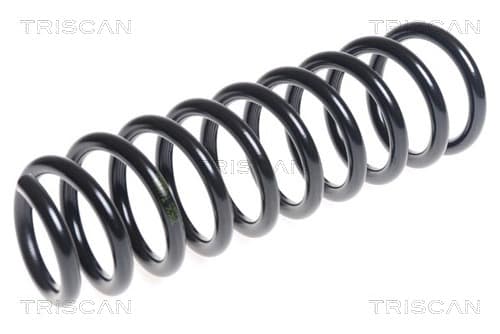 Spiralfjäder bak från TRISCAN