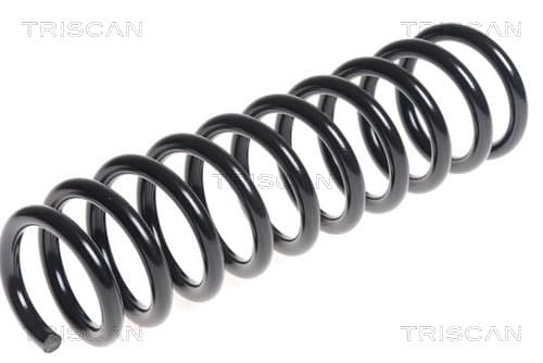 Spiralfjäder bak från TRISCAN