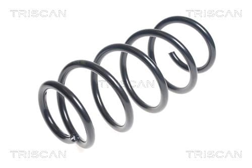 Spiralfjäder fram från TRISCAN