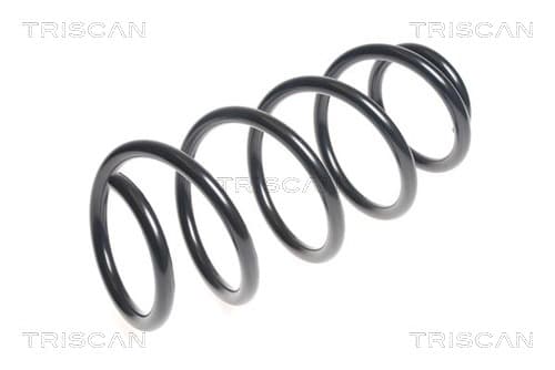 Spiralfjäder fram från TRISCAN