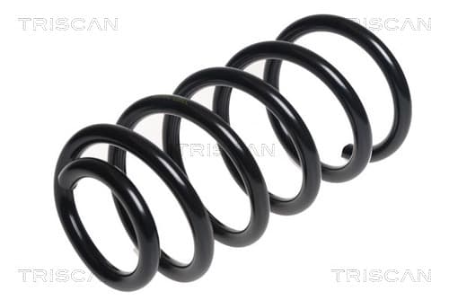 Spiralfjäder bak från TRISCAN