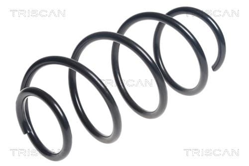 Spiralfjäder fram från TRISCAN