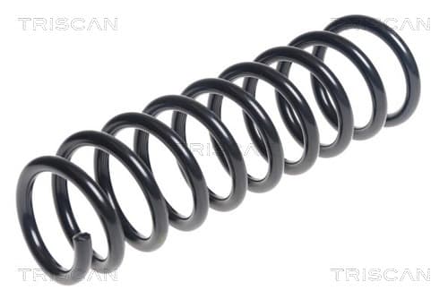 Spiralfjäder bak från TRISCAN