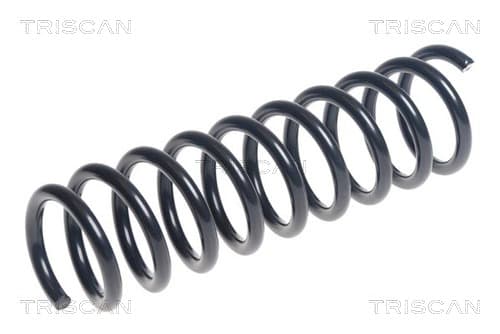 Spiralfjäder bak från TRISCAN