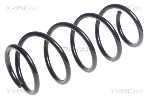 Spiralfjäder fram från TRISCAN