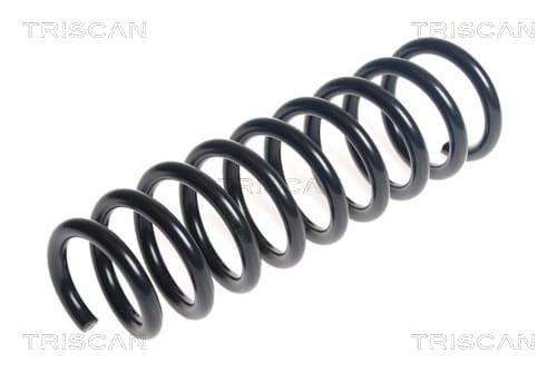 Spiralfjäder bak från TRISCAN
