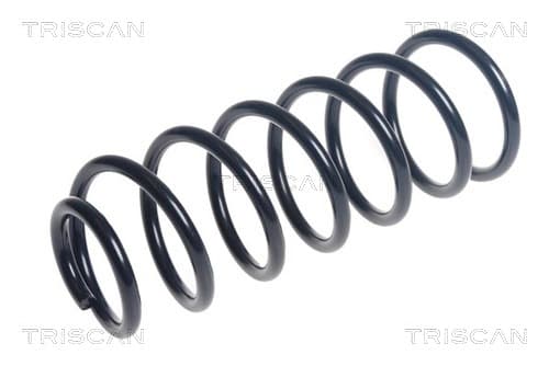 Spiralfjäder bak från TRISCAN