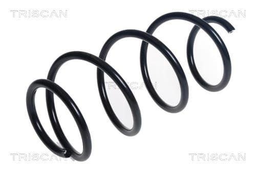 Spiralfjäder fram från TRISCAN