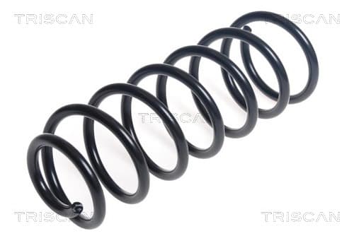 Spiralfjäder bak från TRISCAN