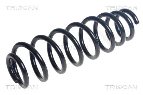 Spiralfjäder bak från TRISCAN