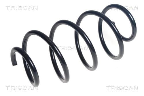 Spiralfjäder fram från TRISCAN