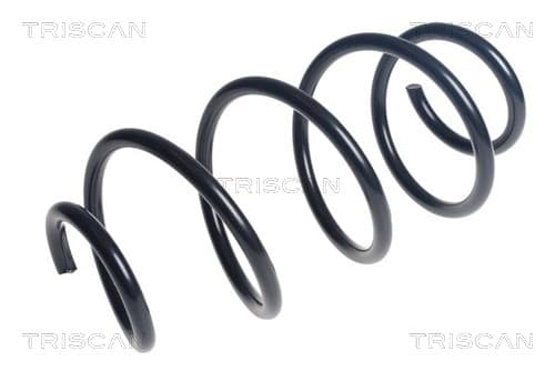 Spiralfjäder fram från TRISCAN