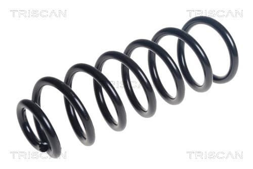 Spiralfjäder bak från TRISCAN