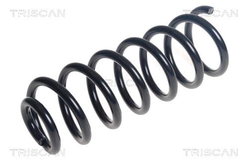 Spiralfjäder bak från TRISCAN