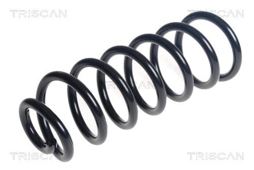 Spiralfjäder bak från TRISCAN