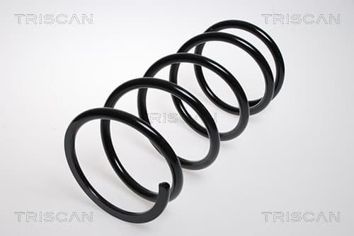 Spiralfjäder fram från TRISCAN