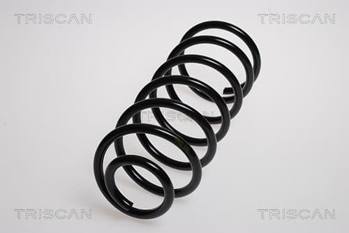 Spiralfjäder bak från TRISCAN