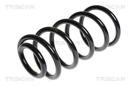 Spiralfjäder bak från TRISCAN