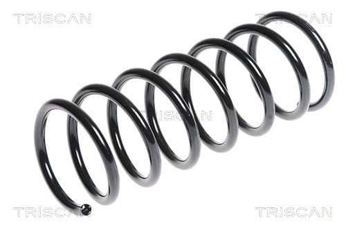 Spiralfjäder bak från TRISCAN