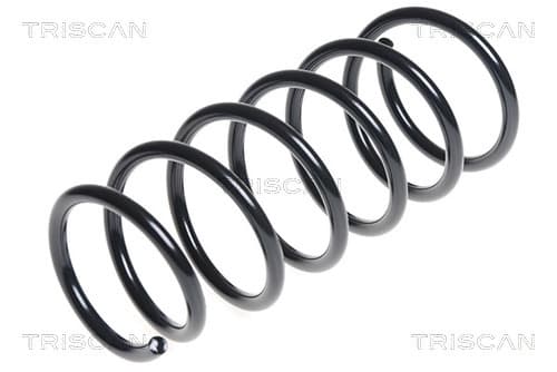 Spiralfjäder bak från TRISCAN
