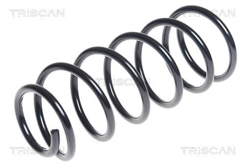 Spiralfjäder bak från TRISCAN