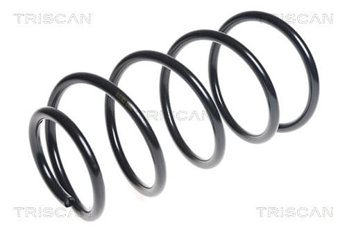 Spiralfjäder fram från TRISCAN
