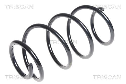 Spiralfjäder fram från TRISCAN