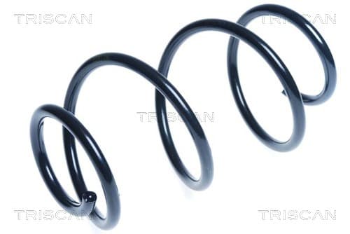 Spiralfjäder fram från TRISCAN