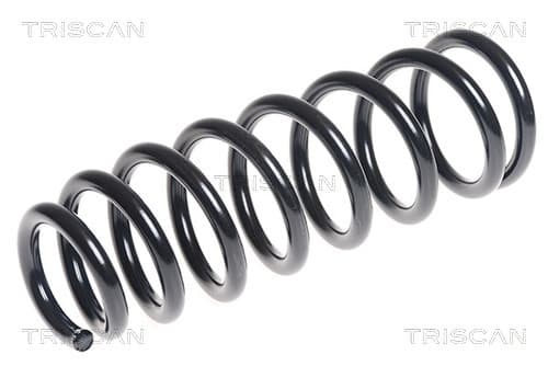 Spiralfjäder bak från TRISCAN