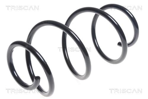 Spiralfjäder fram från TRISCAN