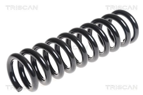 Spiralfjäder bak — Bakaxel från TRISCAN