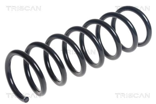 Spiralfjäder bak från TRISCAN