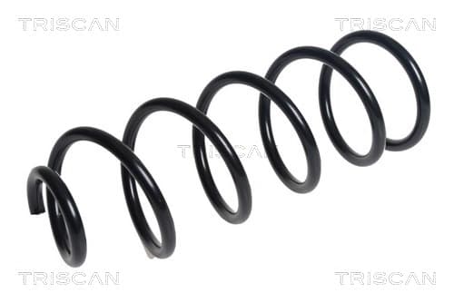 Spiralfjäder bak från TRISCAN