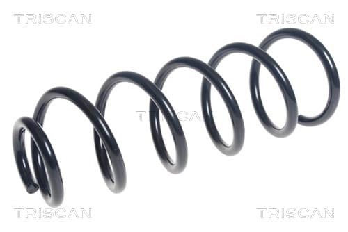 Spiralfjäder bak från TRISCAN