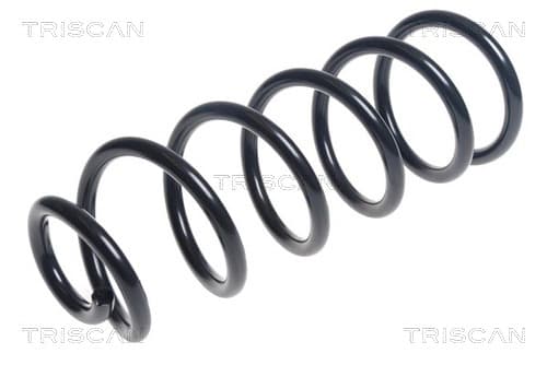 Spiralfjäder bak från TRISCAN