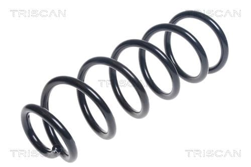 Spiralfjäder bak från TRISCAN