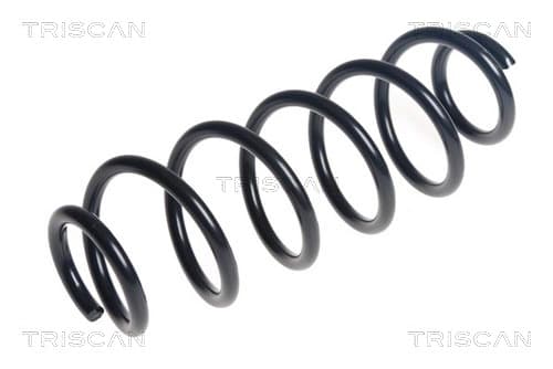 Spiralfjäder bak från TRISCAN