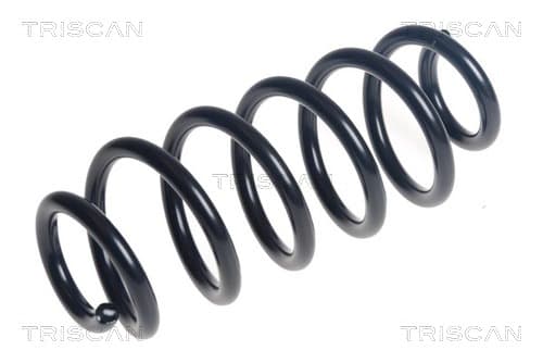 Spiralfjäder bak från TRISCAN