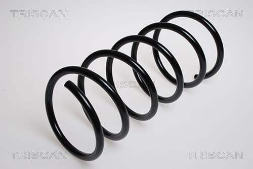 Spiralfjäder bak från TRISCAN