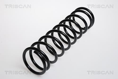 Spiralfjäder bak från TRISCAN