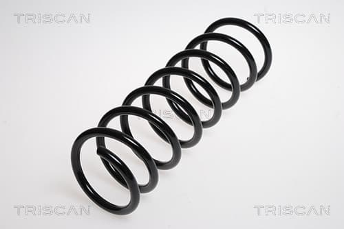 Spiralfjäder bak från TRISCAN