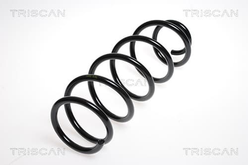 Spiralfjäder bak från TRISCAN
