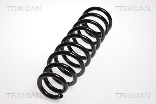 Spiralfjäder fram från TRISCAN