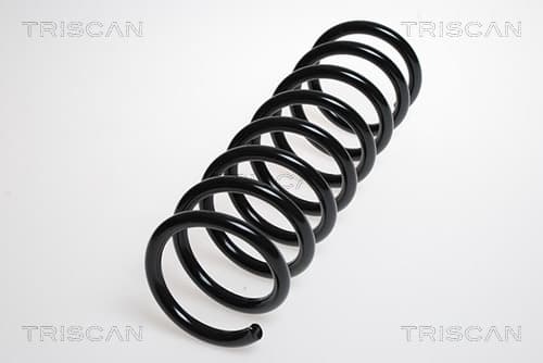 Spiralfjäder bak från TRISCAN
