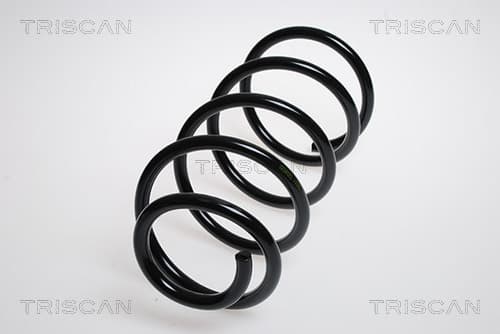 Spiralfjäder fram från TRISCAN